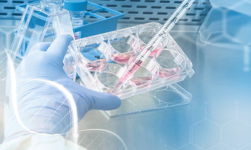 5 Critical Questions to Ask Before Investing in New Laboratory Equipment