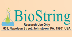 Biostring Logo